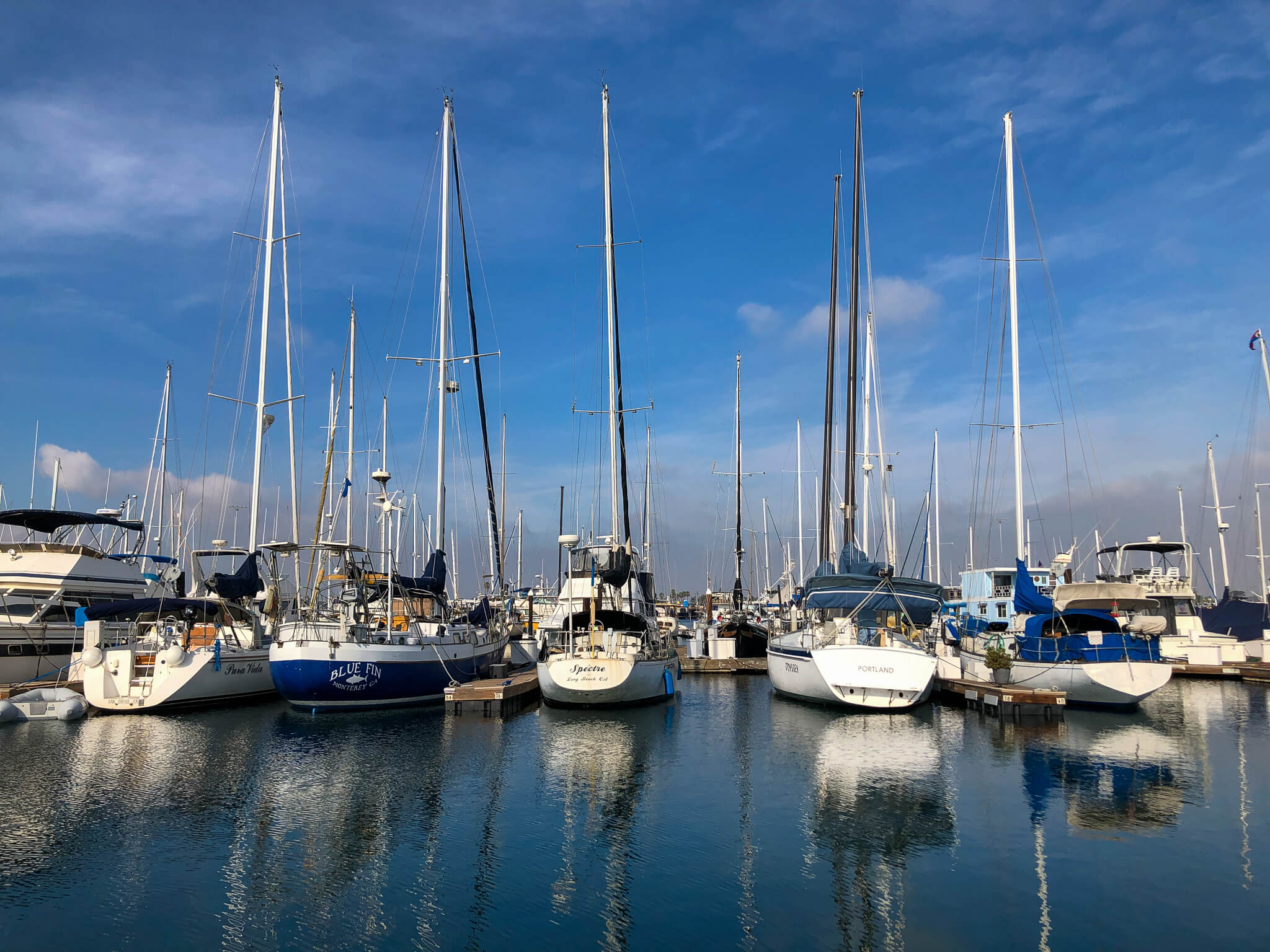 boats
