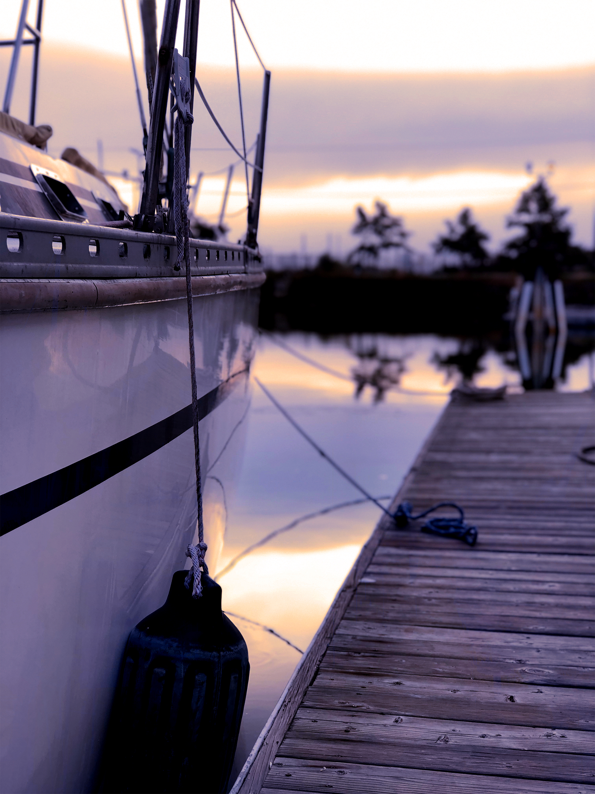 boats