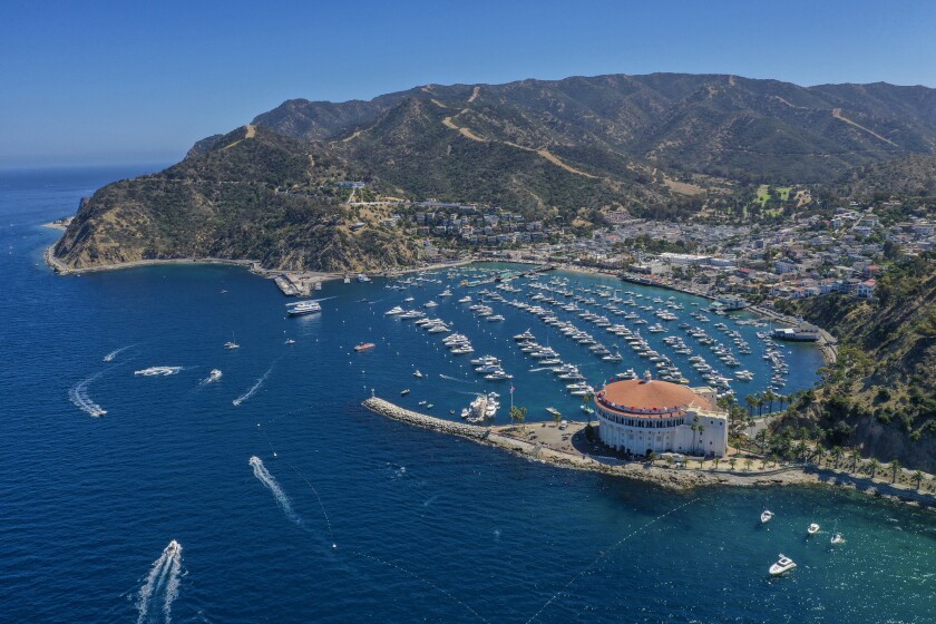 marina